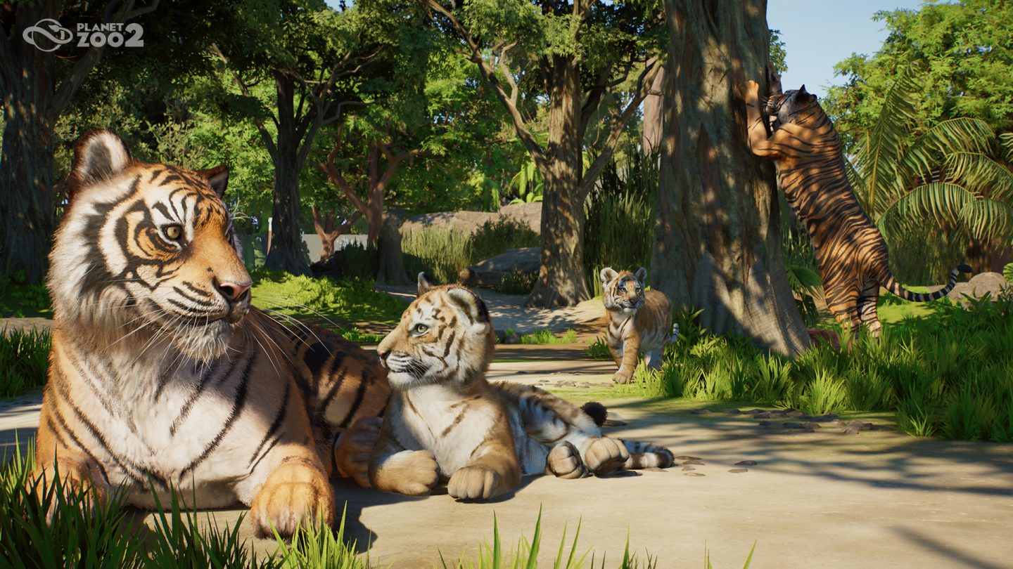Sumatran tigers and cubs in a wooded habitat in Frontier’s Planet Zoo 2 announcement image.