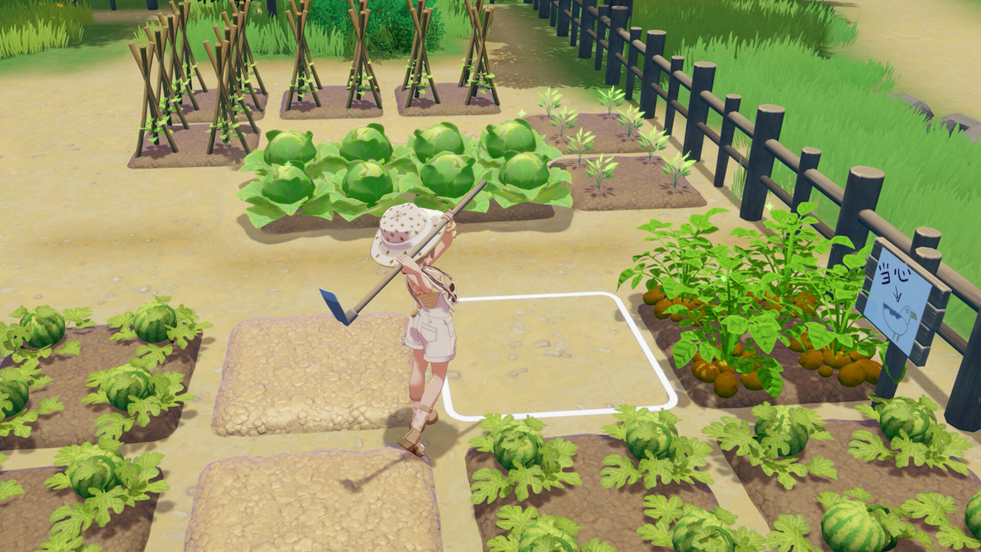 Starsand Island character standing among planted crop plots on a developed farm